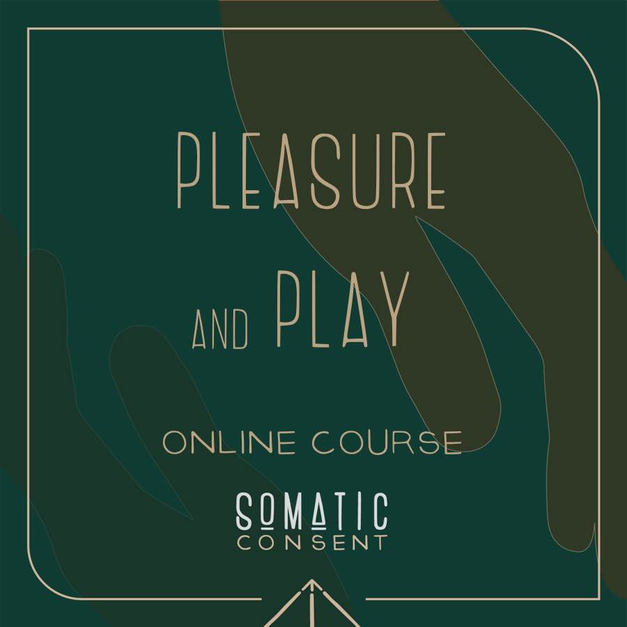 pleasure and play small