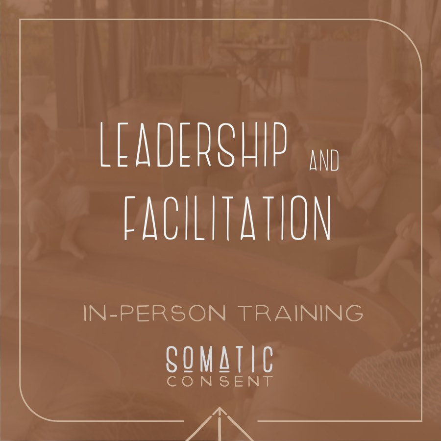 leadership and facilitation2