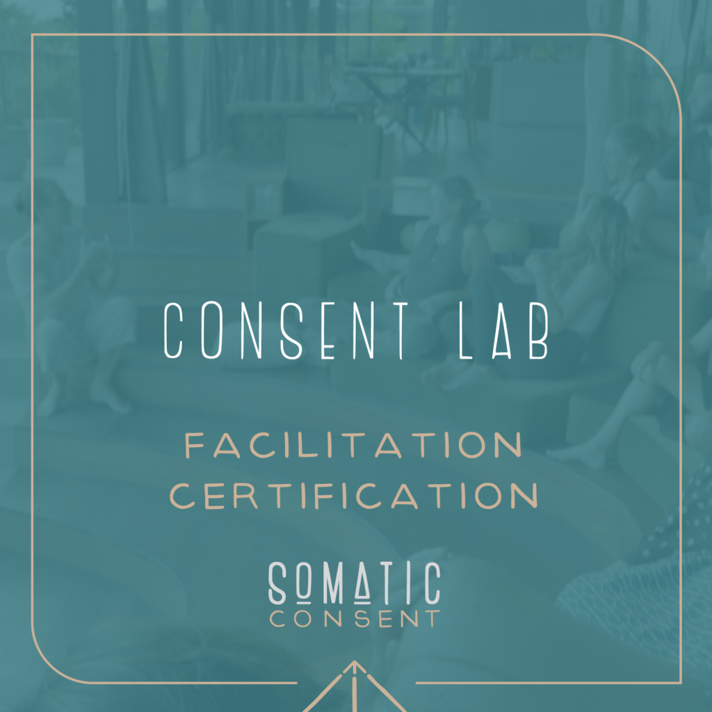 Consent Lab Facilitation Certification