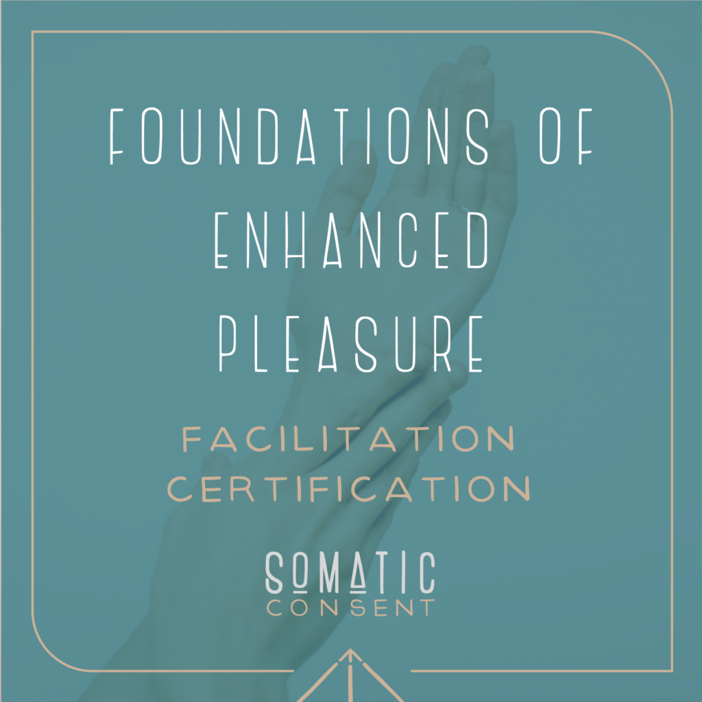 Foundations of Enhanced Pleasure Facilitation Certification