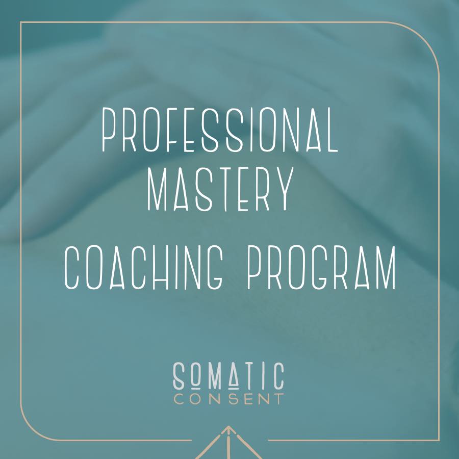 Professional mastery-coaching program